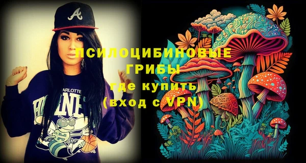 бошки Мегион
