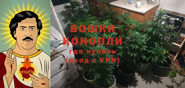 бошки Мегион