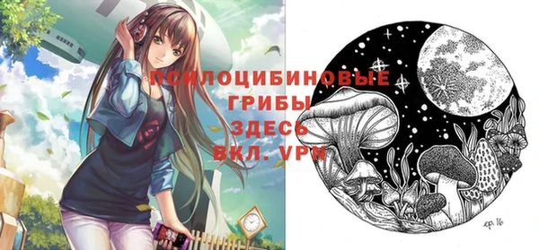бошки Мегион
