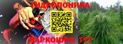 дживик Аша