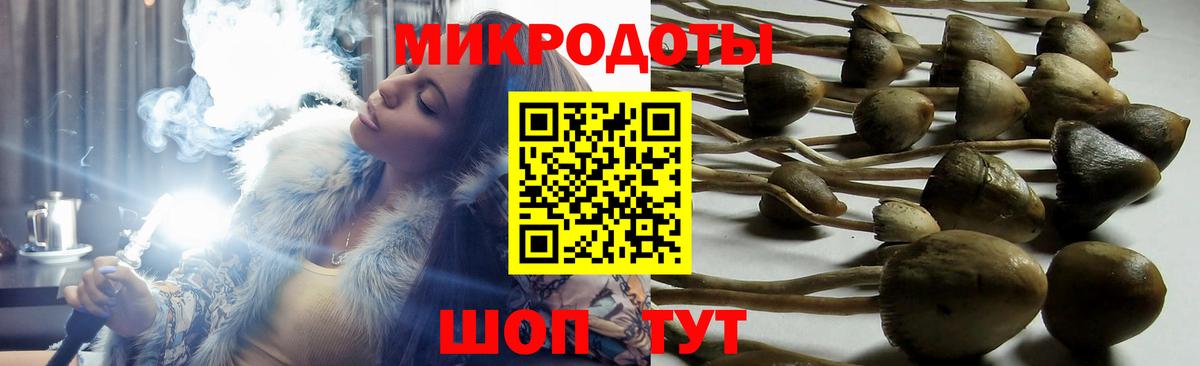 Псилоцибиновые грибы прущие грибы  Вход с VPN  купить наркоту  Усть-Кут 